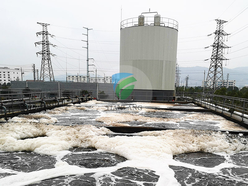 Wuxue Xuri Chemical Co., Ltd. Chemical Wastewater Treatment Project